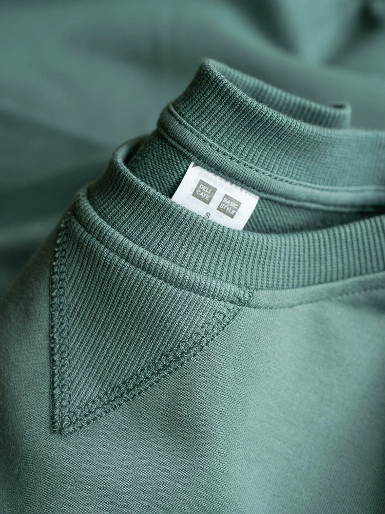 26 Solid color autumn and winter casual simple cotton sweatshirt